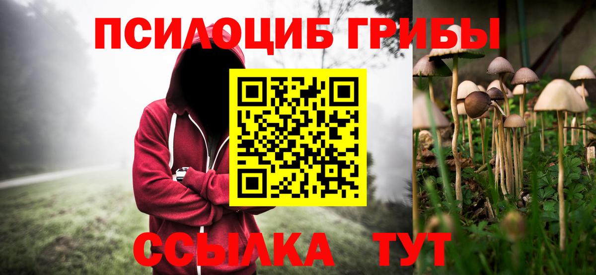 Дербент  Галлюциногенные грибы мицелий  Вход с VPN 